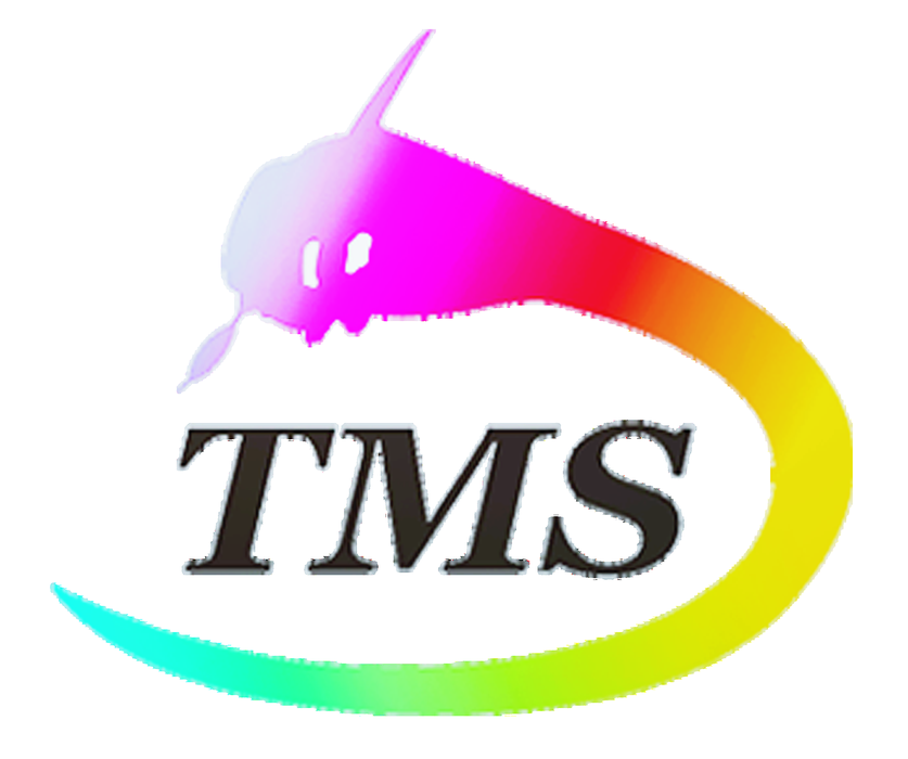 TMS International
